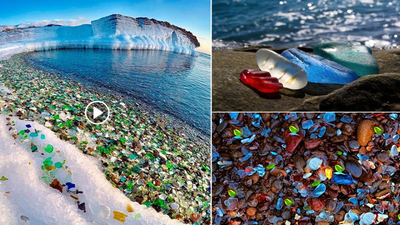 The Unforgettable Beauty of Ussuri Bay’s Glass Beach