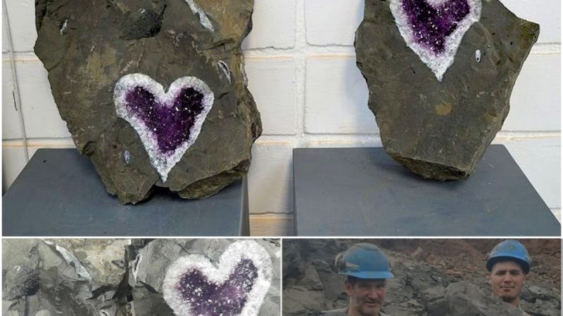 Amazing Heart-Shaped Amethyst Geode Found in Uruguay by Miners