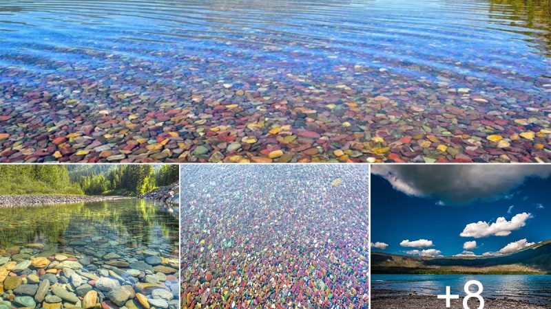 The Multicolored Rocks of Lake McDonald