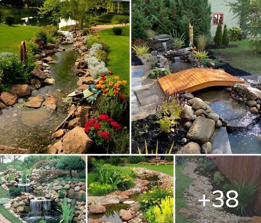 38 Inspiring Rain Garden Landscaping Ideas for a Sustainable Oasis